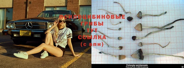 стаф Остров