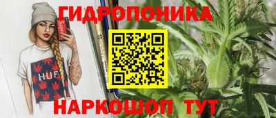 прущая мука Кандалакша