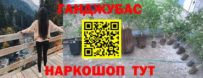 ECSTASY Канаш