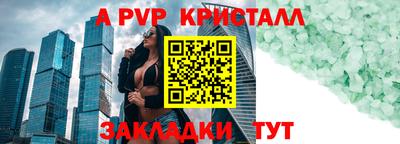 ECSTASY Канаш