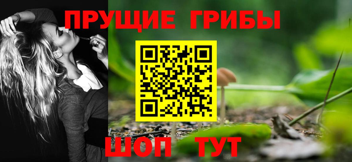 Светлоград  Галлюциногенные грибы MAGIC MUSHROOMS  Галлюциногенные грибы ЛСД  Вход с VPN 